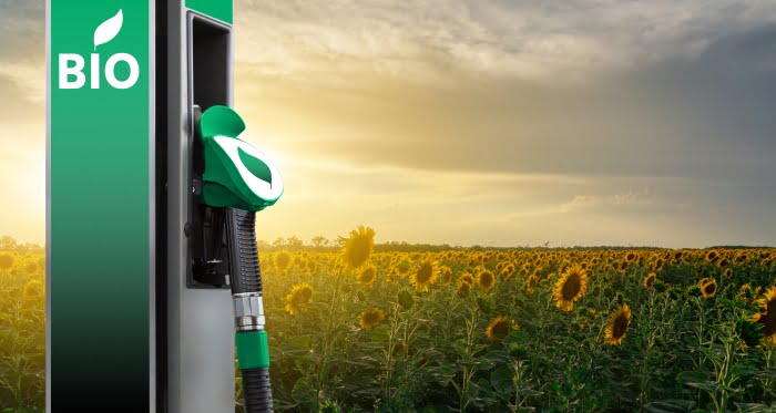 HVO: los biocombustibles para vehículos pesados